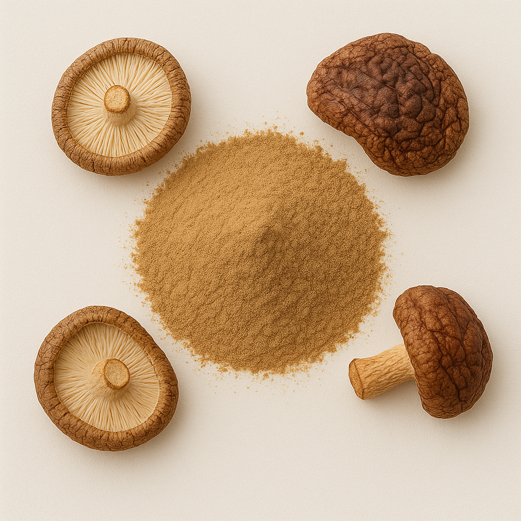 Shiitake Mushroom Extract Powder