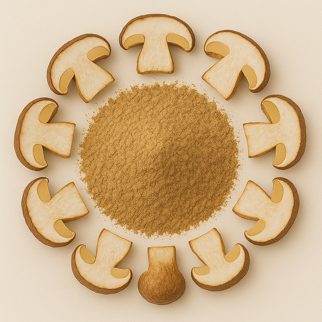 Bolete Mushroom Extract Powder