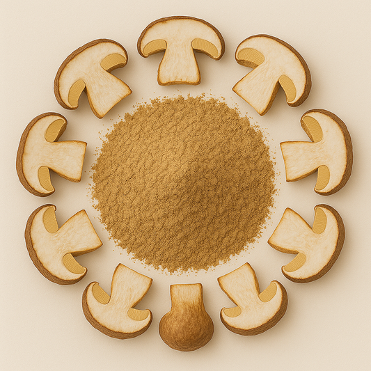 Bolete Mushroom Extract Powder
