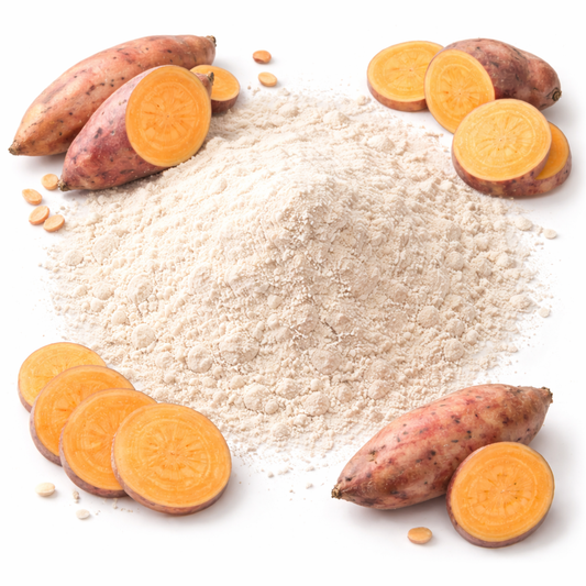 Fermented Sweet Potato Flour With Probiotics (500 billion cfu)