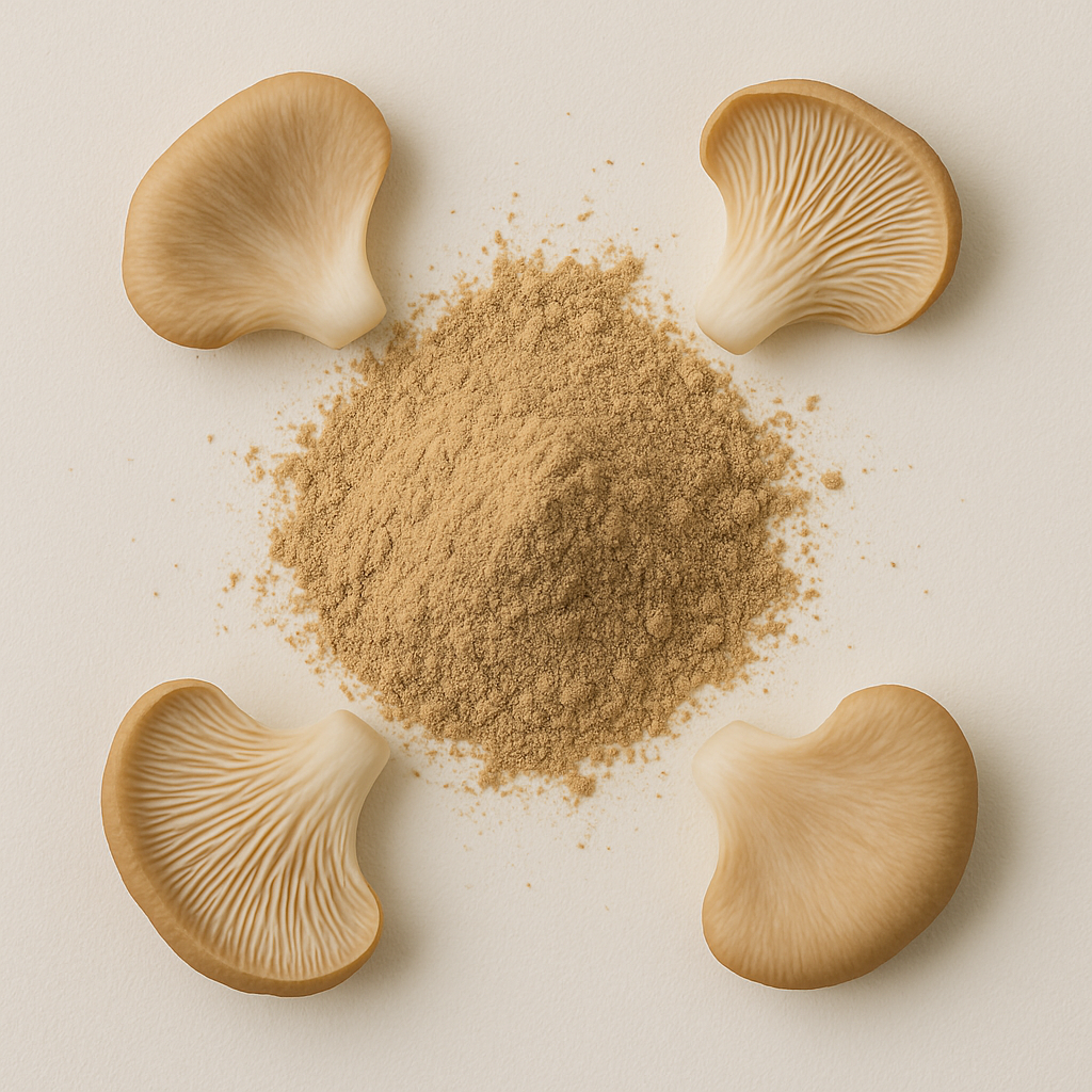 Oyster Mushroom Extract Powder