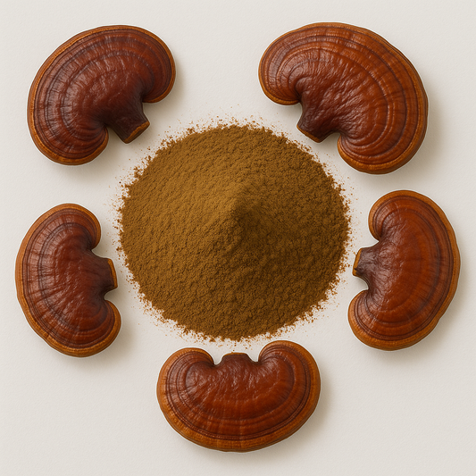 Reishi Mushroom Extract Powder