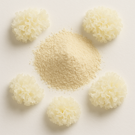 Tremella Mushroom Extract Powder